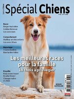 Spécial Chiens